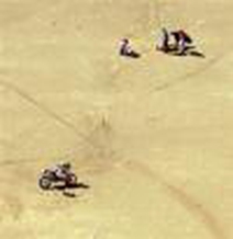 图文-达喀尔赛科尔德考特不幸丧生赛车已支离破碎